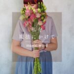 「ありがとう」は魔法の言葉。小さな感謝を、毎日の習慣に。